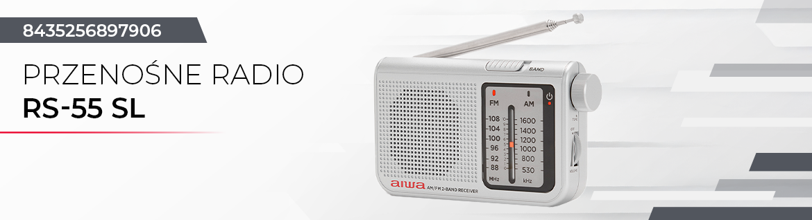 AIWA przenośne radio RS-55/SL srebrne 8435256897906