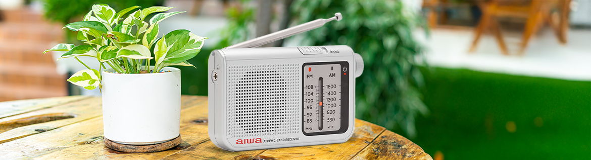 AIWA przenośne radio RS-55/SL srebrne 8435256897906